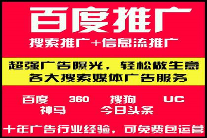 SEM推广实战：成功案例剖析